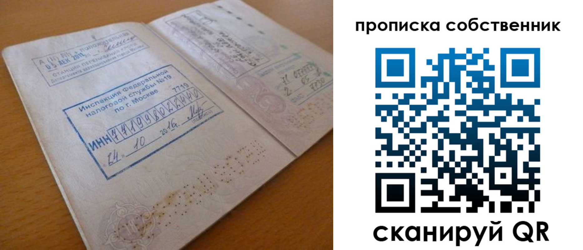 прописка для школы в Щёлкино